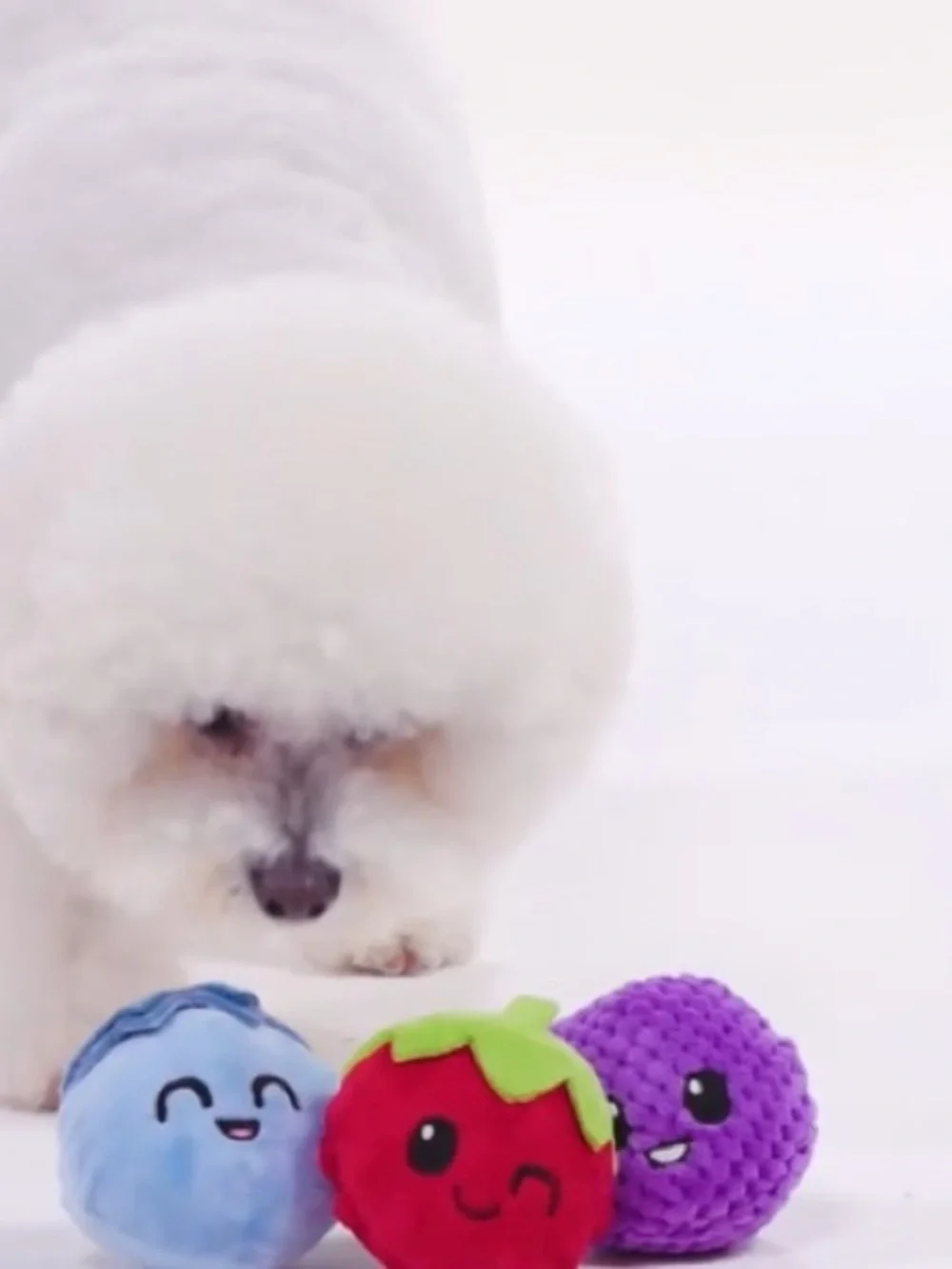 BARK ‘Wild Berry Bunch’ Plush Dog Toy Set